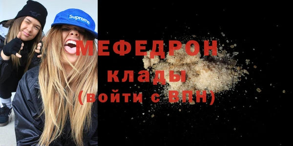 индика Дмитровск