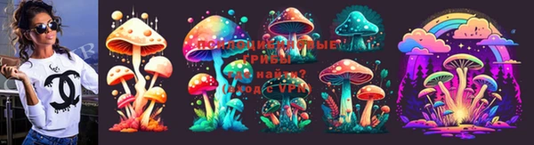 индика Дмитровск
