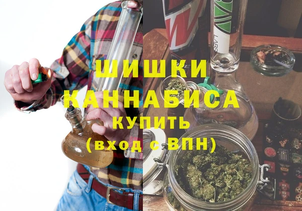 индика Дмитровск