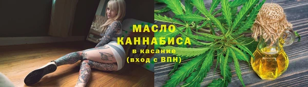 индика Дмитровск