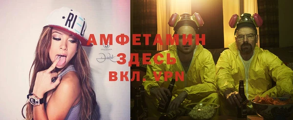 индика Дмитровск