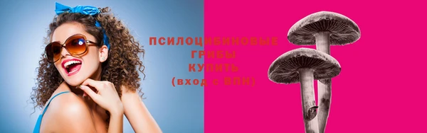 индика Дмитровск