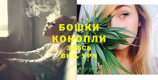 эйфоретик Дмитриев