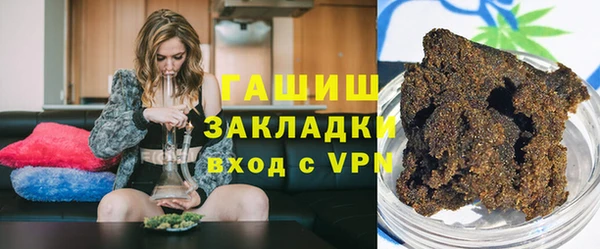 индика Дмитровск