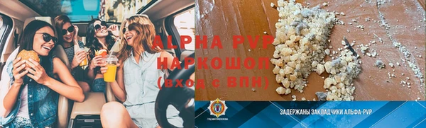 индика Дмитровск