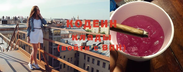 индика Дмитровск
