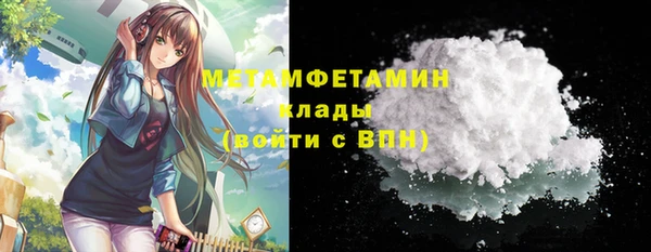 индика Дмитровск