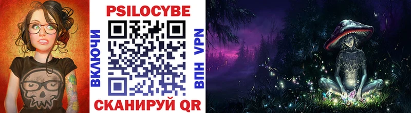 Купить где  Туран  Галлюциногенные грибы Psilocybe 